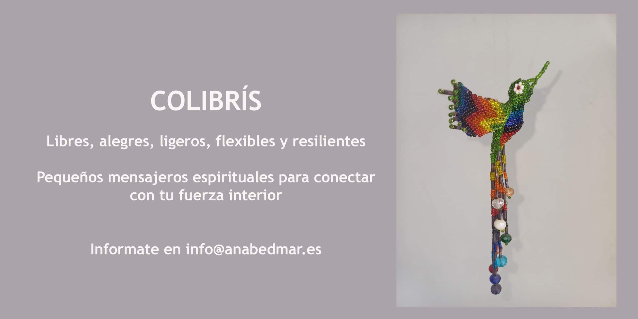2. COLIBRÍS copia