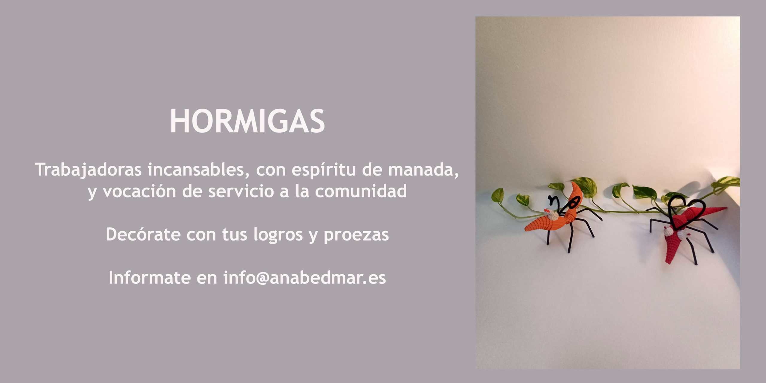 4. Hormigas publi inicio